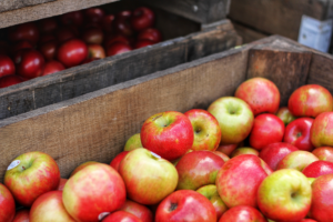 Apples for lowering cholesterol